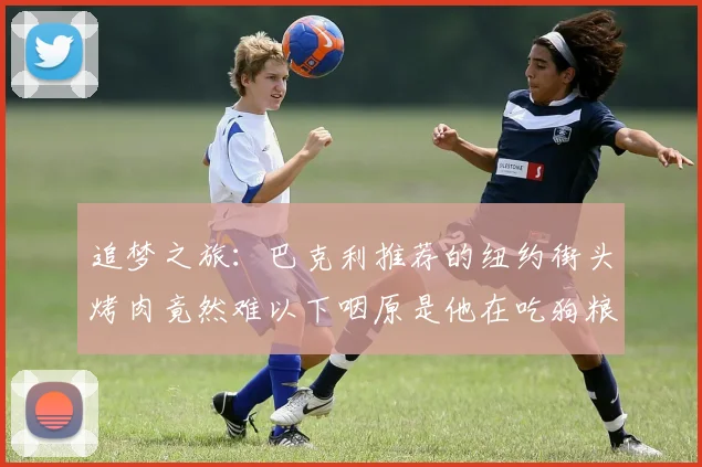 追梦之旅:巴克利推荐的纽约街头烤肉竟然难以下咽原是他在吃狗粮