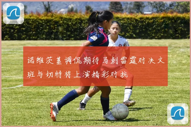 诺维茨基调侃期待马刺雷霆对决文班与切特将上演精彩对抗