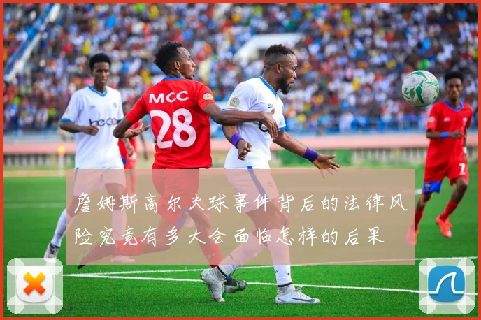 詹姆斯高尔夫球事件背后的法律风险究竟有多大会面临怎样的后果